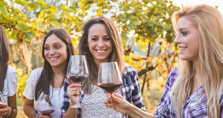 group of women toasting red wine glasses in a vineyard