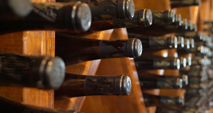 wine bottles in a wine cellar