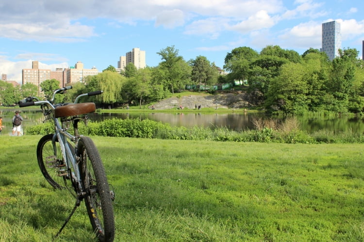 Cycling in Central Park