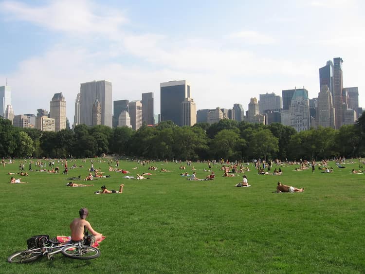 Great Lawn in Central Park